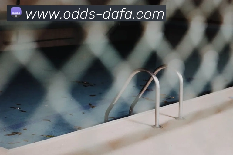 App Interface Preview