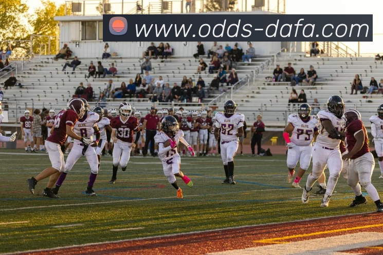 大发官网APP 封面图